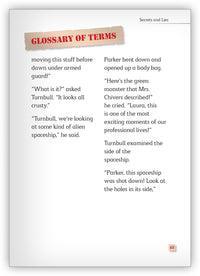 Secrets and Lies Leveled Book