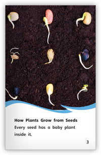 Seeds from Fables & the Real World