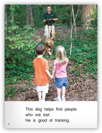 Service Dogs from Kaleidoscope Collection