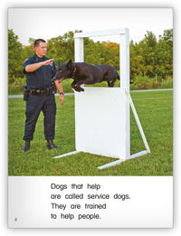 Service Dogs Big Book