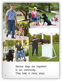 Service Dogs Big Book