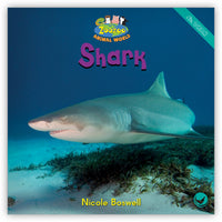 Shark from Zoozoo Animal World