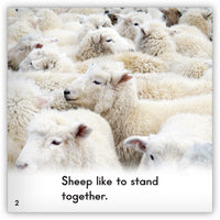 Sheep Leveled Book