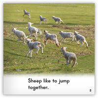 Sheep Leveled Book