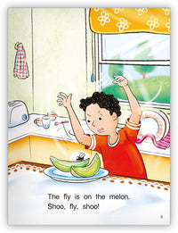 Shoo, Fly, Shoo! from Kaleidoscope Collection