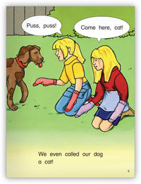 Silly Day from Kaleidoscope Collection