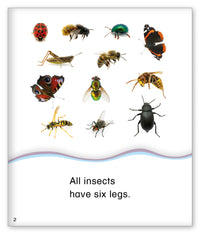 Six Legs from Kid Lit