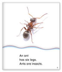 Six Legs from Kid Lit
