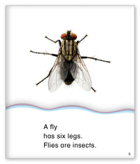 Six Legs from Kid Lit