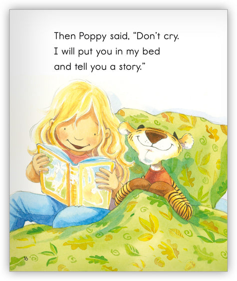 Sloppy Tiger's Picnic - Joy Cowley Collection - Hameray Publishing