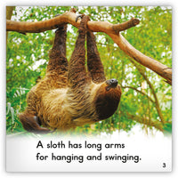 Sloth from Zoozoo Animal World