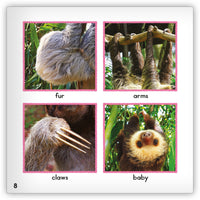 Sloth Big Book