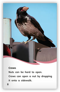 Smart Birds, Amazing Birds from Fables & the Real World