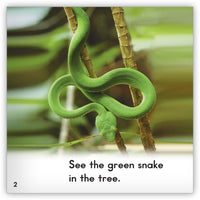 Snake from Zoozoo Animal World