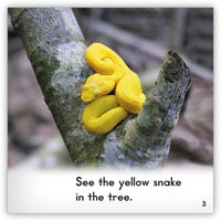 Snake from Zoozoo Animal World