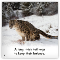 Snow Leopard Big Book