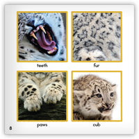 Snow Leopard Big Book