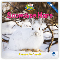 Snowshoe Hare Big Book from Zoozoo Animal World