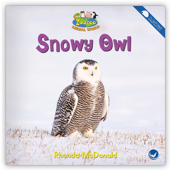 Snowy Owl from Zoozoo Animal World