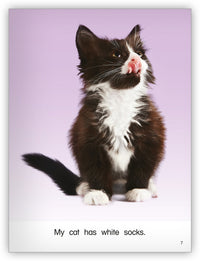 Socks from Kaleidoscope Collection