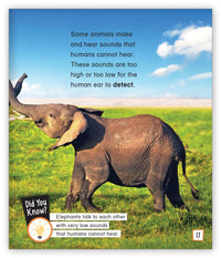 Sound and Communication