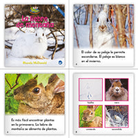 Spanish Level H Set (6-Packs)