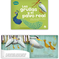 Spanish Level I Set (6-Packs)