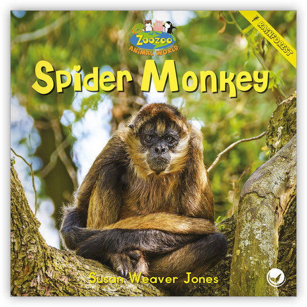 ♡monkeyページ♡ Spider Monkey Big Book - Zoozoo Animal World - Hameray Publishing