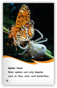 Spiders from Fables & the Real World