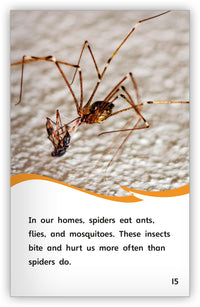 Spiders from Fables & the Real World