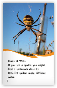 Spiderwebs Leveled Book