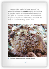 Spines, Stingers, and Teeth from Underwater Encounters