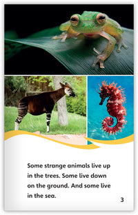 Strange Animals All Around