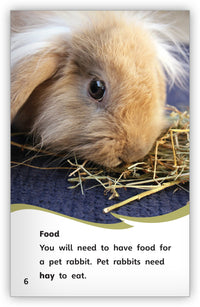 Taking Care of Pet Rabbits Leveled Book