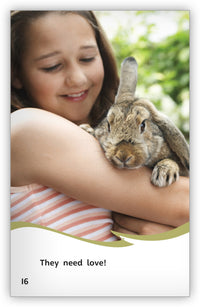 Taking Care of Pet Rabbits from Fables & the Real World