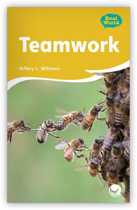 Teamwork from Fables & the Real World