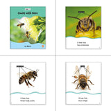 Technology, Tools, and Math Theme Guided Reading Set