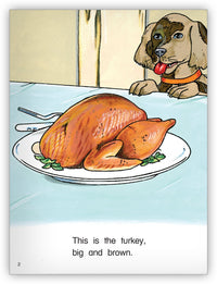 Thanksgiving Dinner from Kaleidoscope Collection