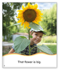 That Is Big from Kid Lit