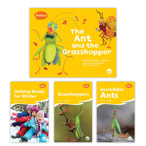 The Ant And The Grasshopper Theme Set Image Book Set