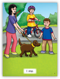 The Bike Leveled Book