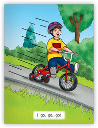 The Bike Leveled Book