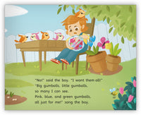 The Boy and the Gumballs Leveled Book