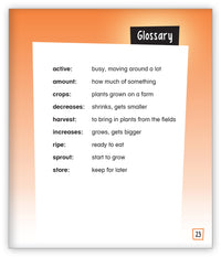 The Cycle of Seasons