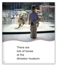 The Dinosaur Museum