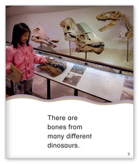 The Dinosaur Museum