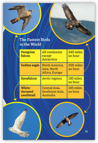 The Fastest in the World from Inspire!