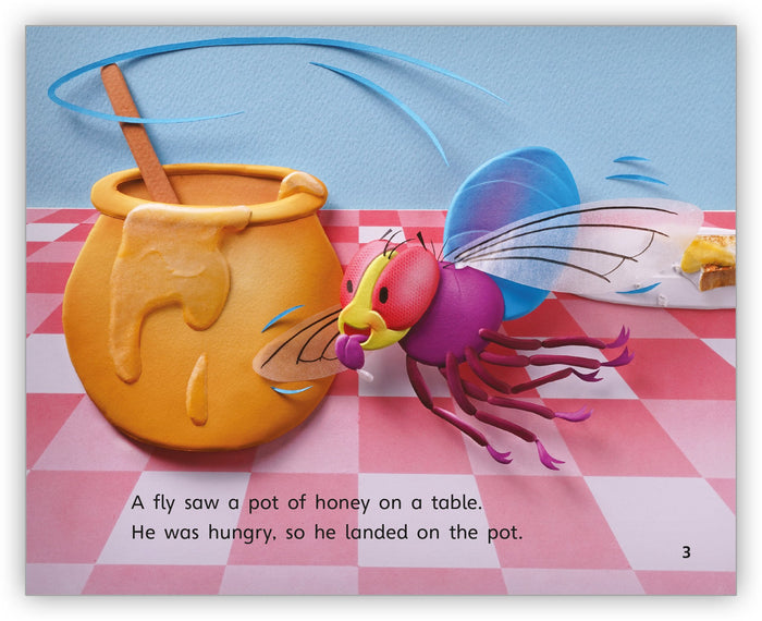 The Fly and the Honey Pot Leveled Book
