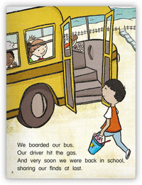 The Friendship Shell from Kaleidoscope Collection