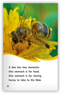 The Incredible Bee from Fables & the Real World